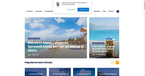 Sprawdź działanie witryny Turystycznyninja.pl i przygotuj się na wymarzony urlopowy wypoczynek. 2022